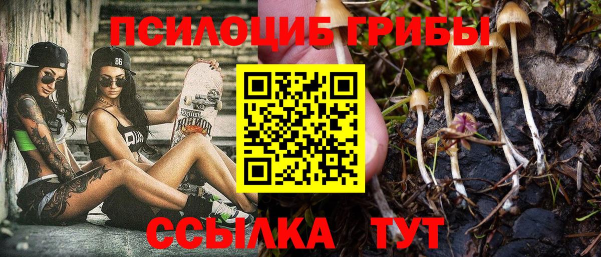 Галлюциногенные грибы мицелий Серов
